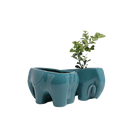 Elephant Ceramic Indoor Plant Pot For Succulents - Chive US Wholesale