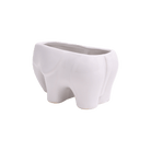 Elephant Ceramic Indoor Plant Pot For Succulents - Chive US Wholesale