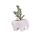 Elephant Ceramic Indoor Plant Pot For Succulents - Chive US Wholesale