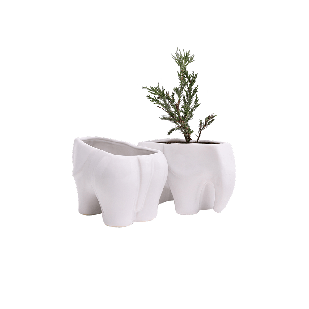 Elephant Ceramic Indoor Plant Pot For Succulents - Chive US Wholesale