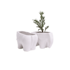Elephant Ceramic Indoor Plant Pot For Succulents - Chive US Wholesale
