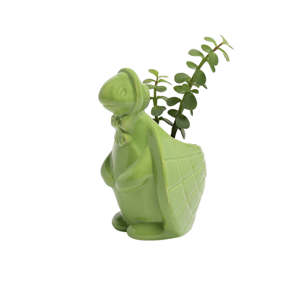 Turtle Ceramic Indoor Plant Pot For Succulents - Chive US Wholesale