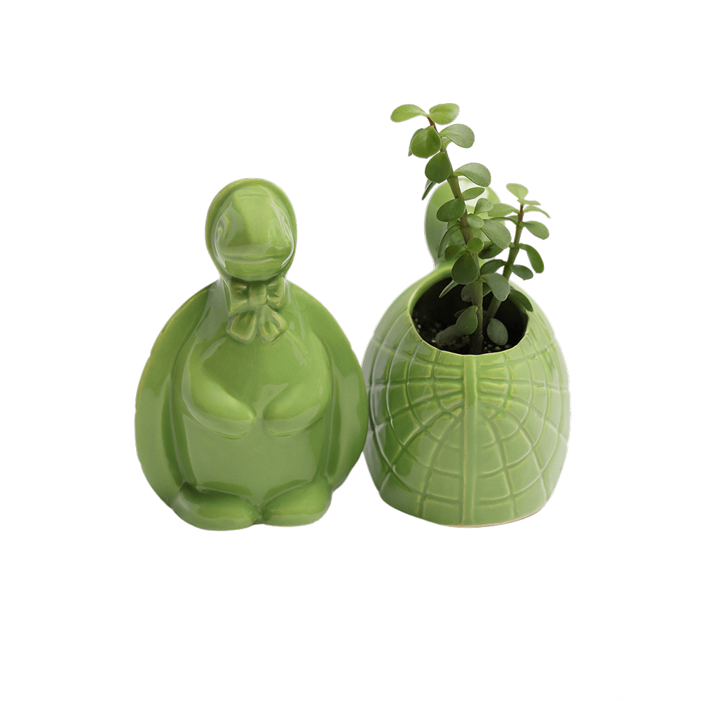 Turtle Ceramic Indoor Plant Pot For Succulents - Chive US Wholesale