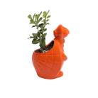 Turtle Ceramic Indoor Plant Pot For Succulents - Chive US Wholesale