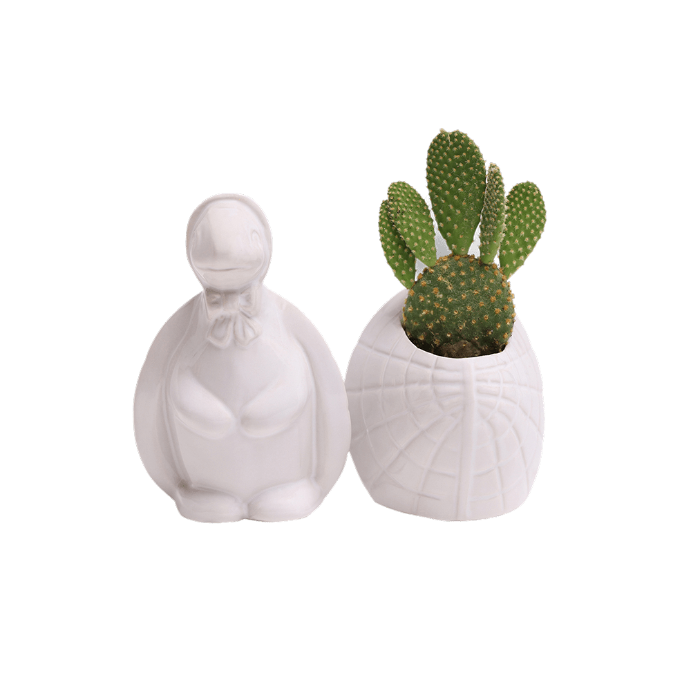 Turtle Ceramic Indoor Plant Pot For Succulents - Chive US Wholesale