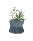 Fang Ceramic Modern Planter Kits - Chive US Wholesale