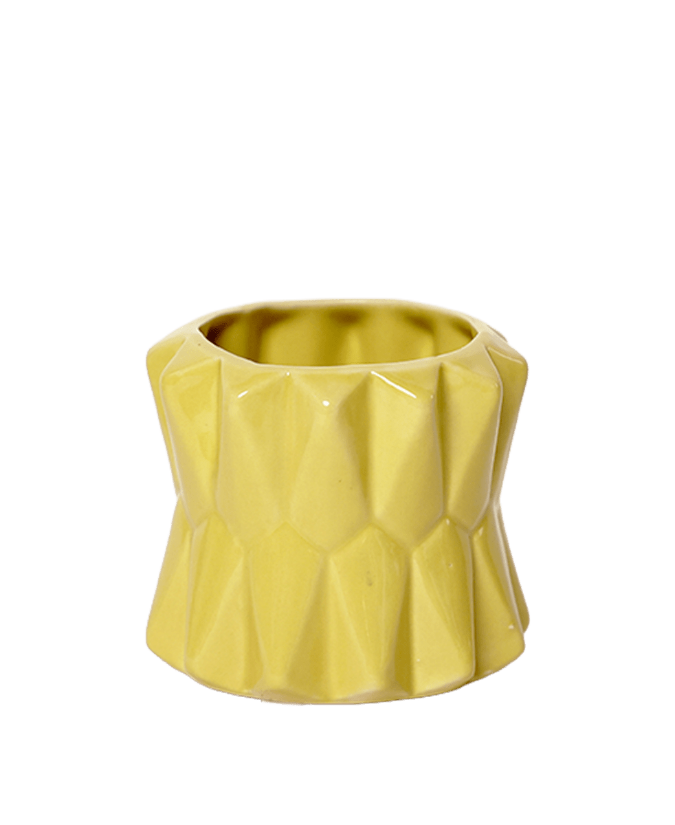 Fang Ceramic Modern Planter For Succulents - Chive US Wholesale