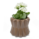 Fang Ceramic Modern Planter For Succulents - Chive US Wholesale