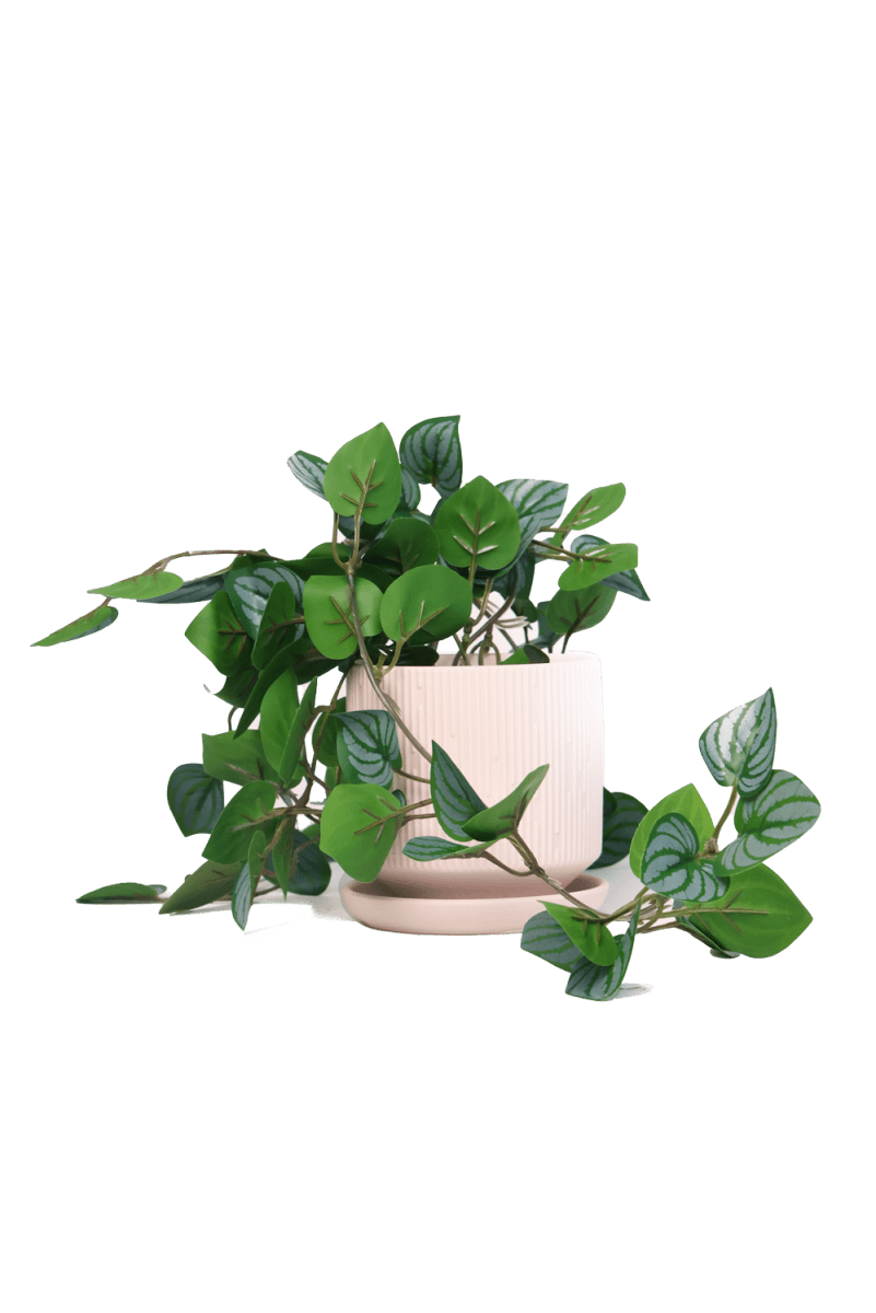 Trailing Plant Fake Lifelike Realistic Unkillable! - Chive US Wholesale