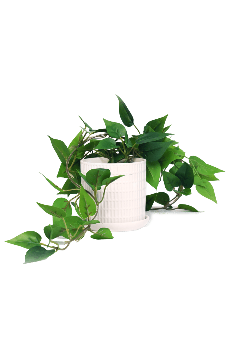 Trailing Plant Fake Lifelike Realistic Unkillable! - Chive US Wholesale