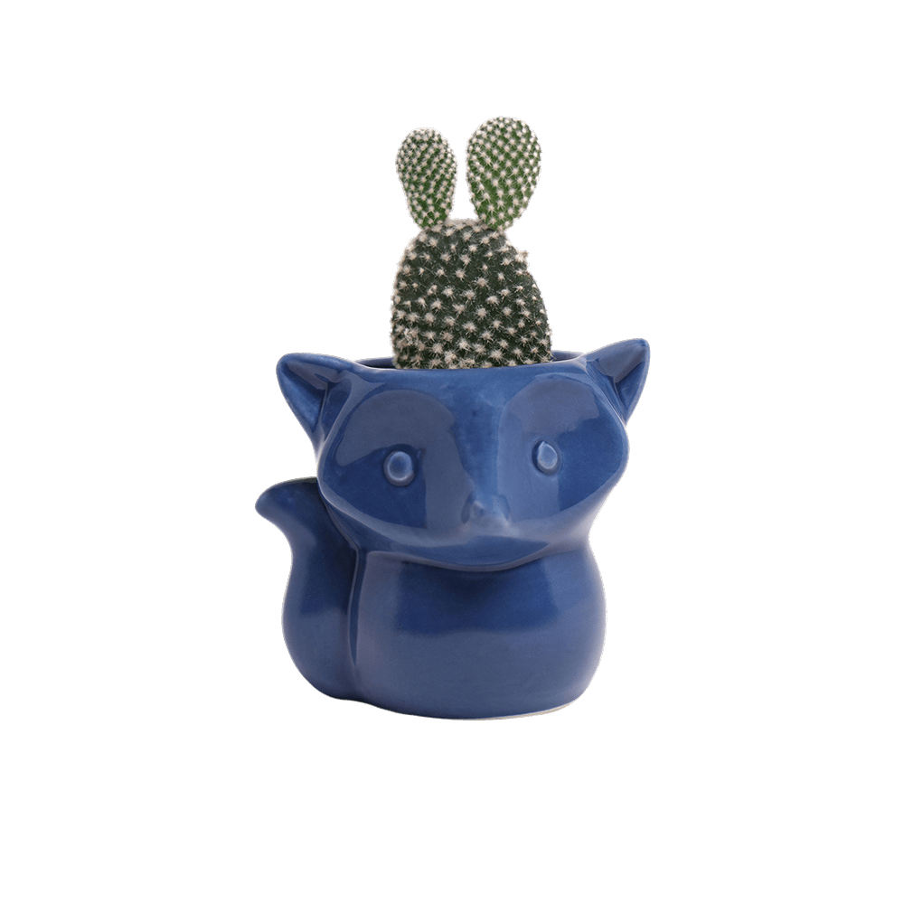 Fox Ceramic Indoor Plant Pot For Succulents - Chive US Wholesale