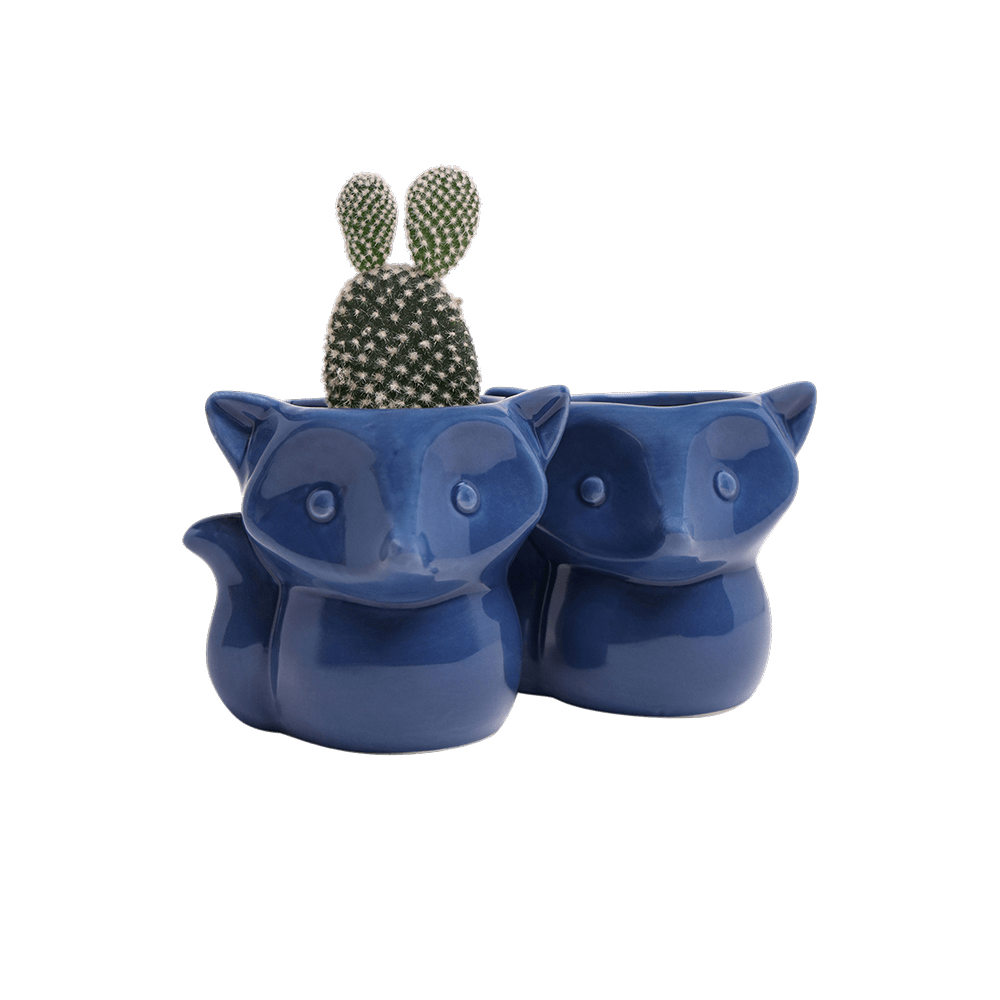 Fox Ceramic Indoor Plant Pot For Succulents - Chive US Wholesale
