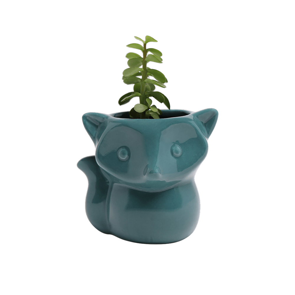 Fox Ceramic Indoor Plant Pot For Succulents - Chive US Wholesale