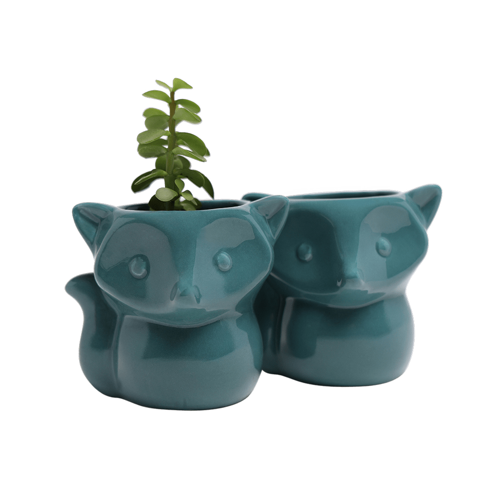 Fox Ceramic Indoor Plant Pot For Succulents - Chive US Wholesale
