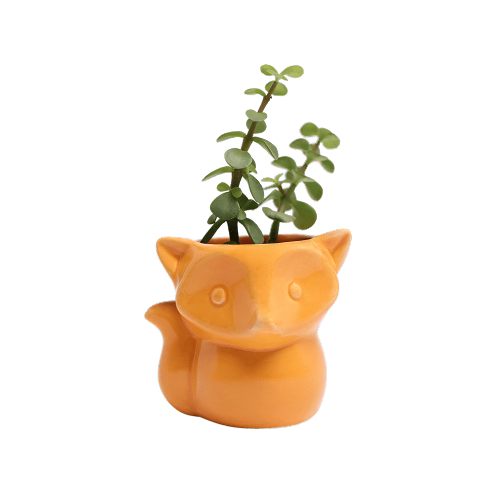 Fox Ceramic Indoor Plant Pot For Succulents - Chive US Wholesale