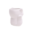 Fox Ceramic Indoor Plant Pot For Succulents - Chive US Wholesale
