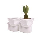 Fox Ceramic Indoor Plant Pot For Succulents - Chive US Wholesale