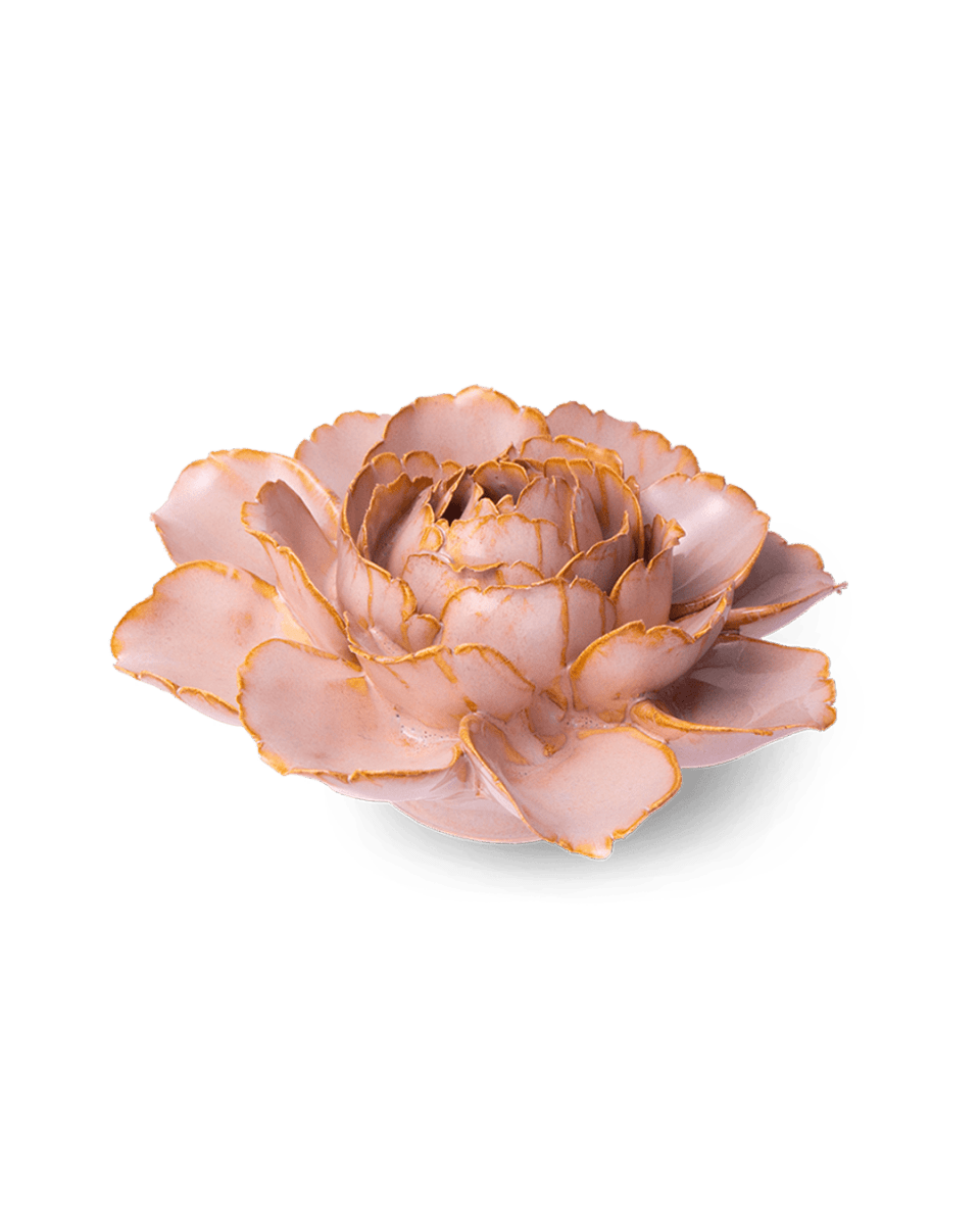 FR01 Rose Pink Camellia - Chive US Wholesale