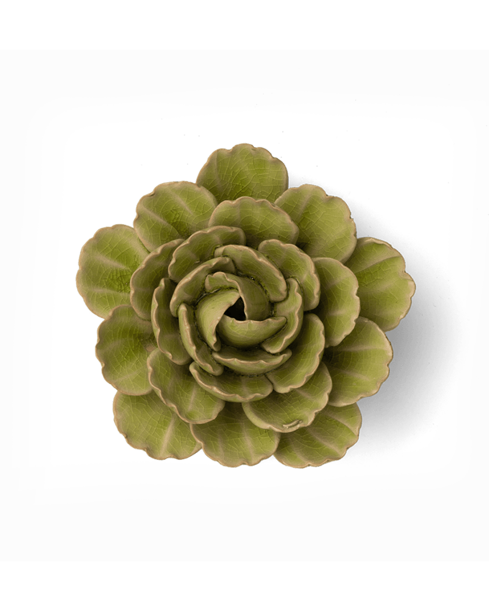 FR12 Peridot Keiko Peony - Chive US Wholesale