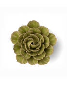 FR12 Peridot Keiko Peony - Chive US Wholesale