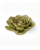 FR12 Peridot Keiko Peony - Chive US Wholesale