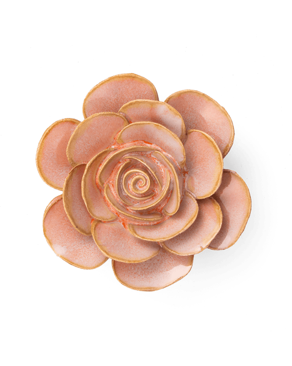 FR02 Peach Pink Cloni Ranunculus - Chive US Wholesale