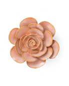 FR02 Peach Pink Cloni Ranunculus - Chive US Wholesale