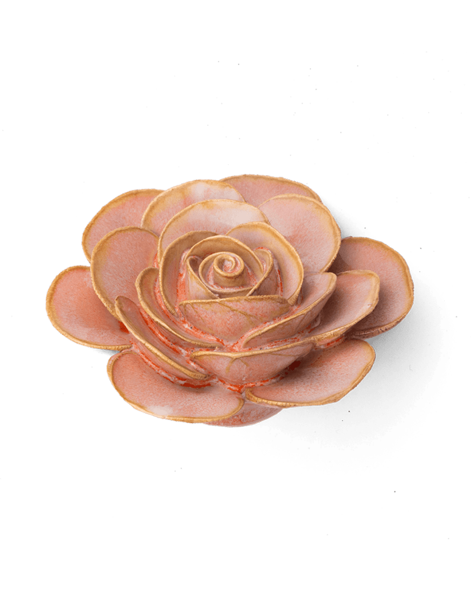 FR02 Peach Pink Cloni Ranunculus - Chive US Wholesale