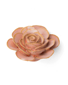 FR02 Peach Pink Cloni Ranunculus - Chive US Wholesale