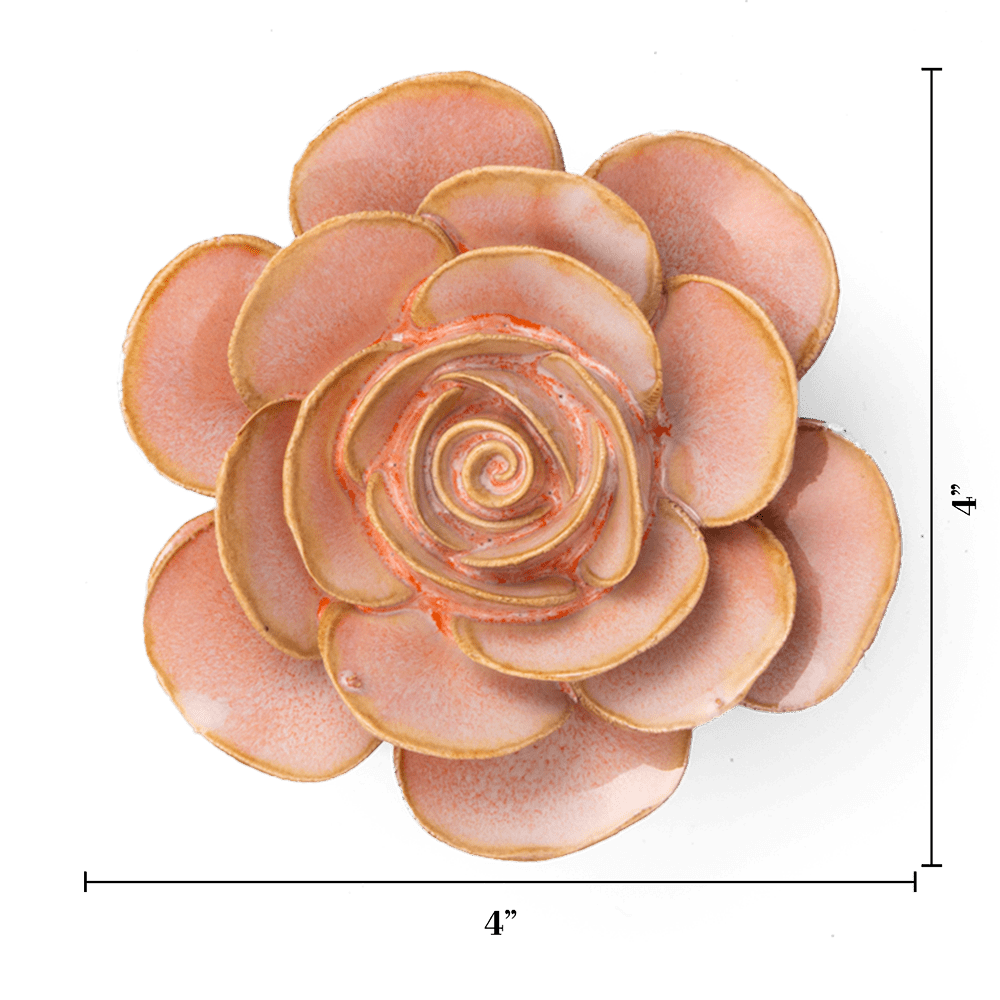 FR02 Peach Pink Cloni Ranunculus - Chive US Wholesale