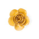 FR03 Burnt Yellow Elegance Ranunculus - Chive US Wholesale