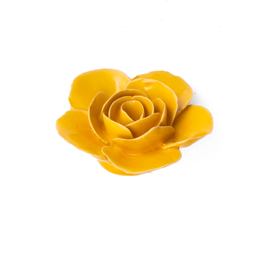 FR03 Burnt Yellow Elegance Ranunculus - Chive US Wholesale