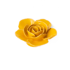 FR03 Burnt Yellow Elegance Ranunculus - Chive US Wholesale