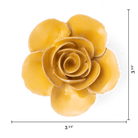 FR03 Burnt Yellow Elegance Ranunculus - Chive US Wholesale