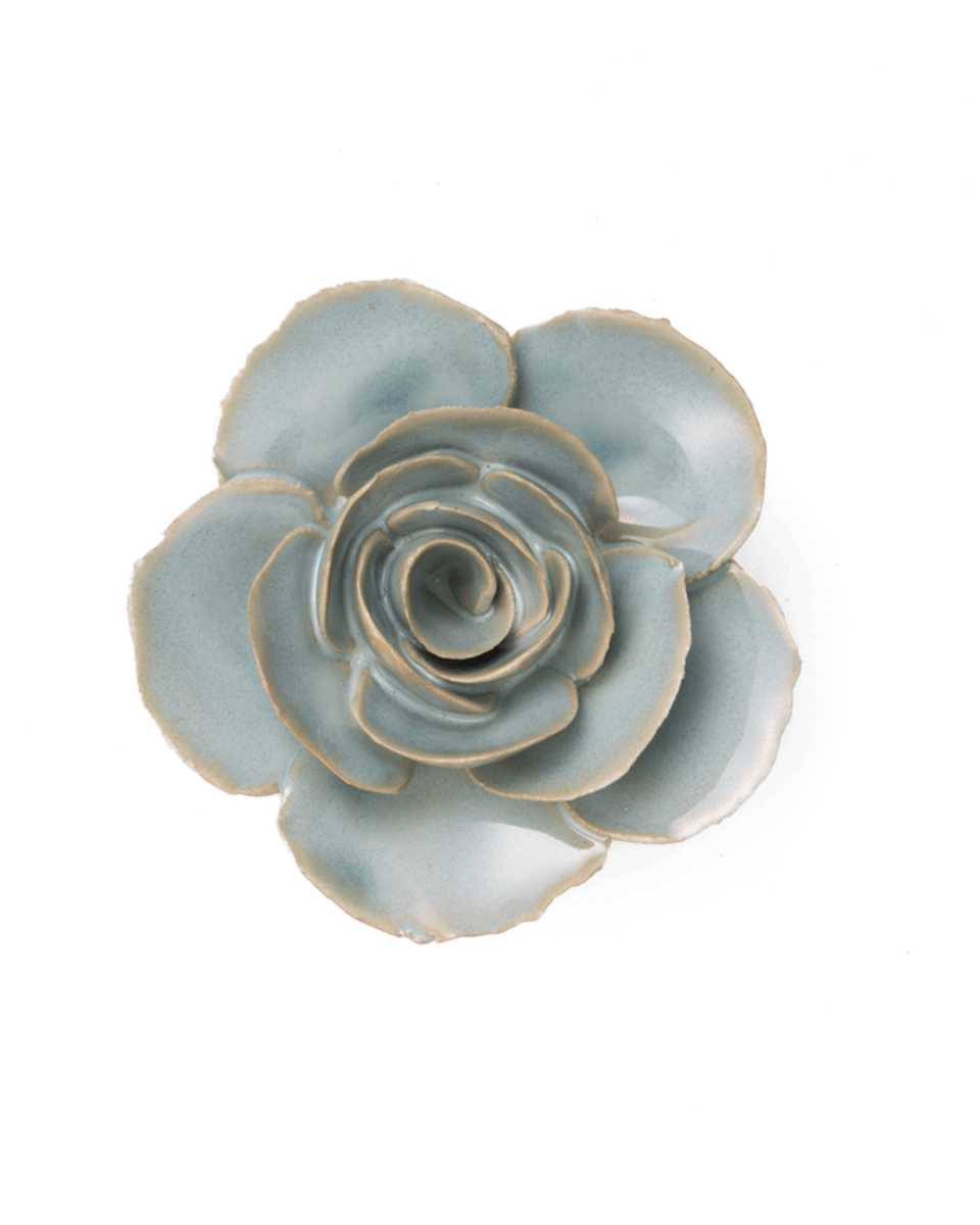 FR04 Milk Teal Elegance Ranunculus - Chive US Wholesale