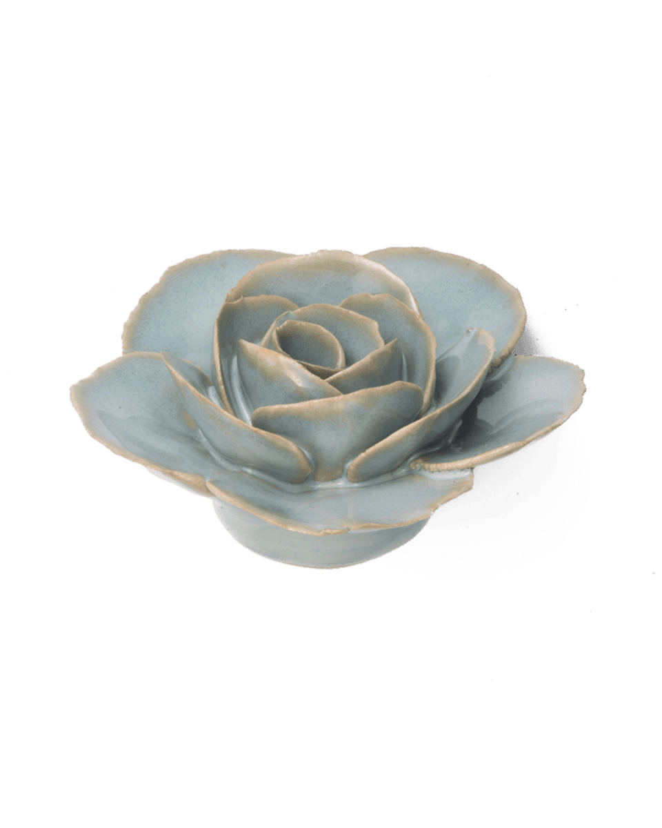 FR04 Milk Teal Elegance Ranunculus - Chive US Wholesale