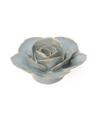 FR04 Milk Teal Elegance Ranunculus - Chive US Wholesale