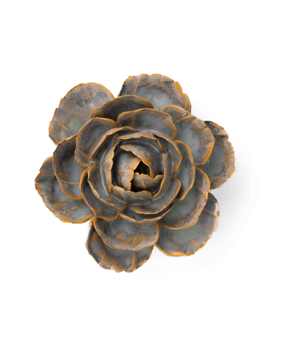 FR05 Pale Blue English Rose - Chive US Wholesale