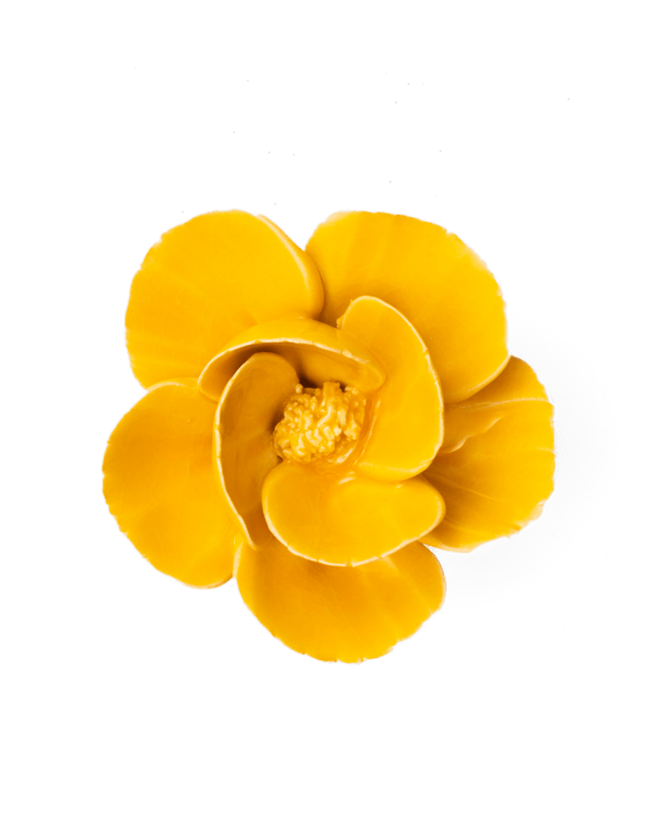 FR06 Burnt Yellow Poppy - Chive US Wholesale