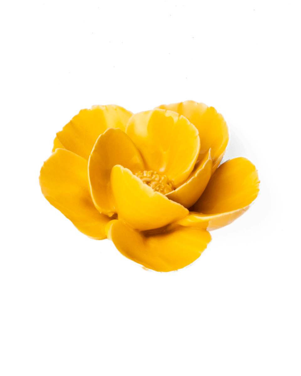 FR06 Burnt Yellow Poppy - Chive US Wholesale