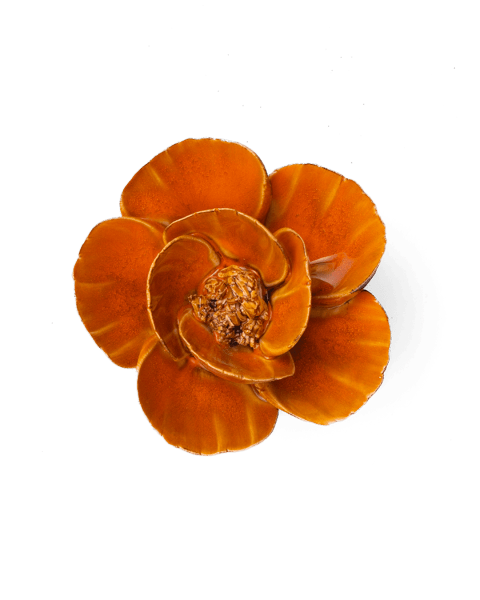 FR08 Burnt Orange Poppy - Chive US Wholesale