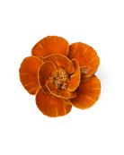 FR08 Burnt Orange Poppy - Chive US Wholesale