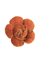 FR08 Burnt Orange Poppy - Chive US Wholesale