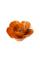 August Birth Flower - Poppy - Chive US Wholesale