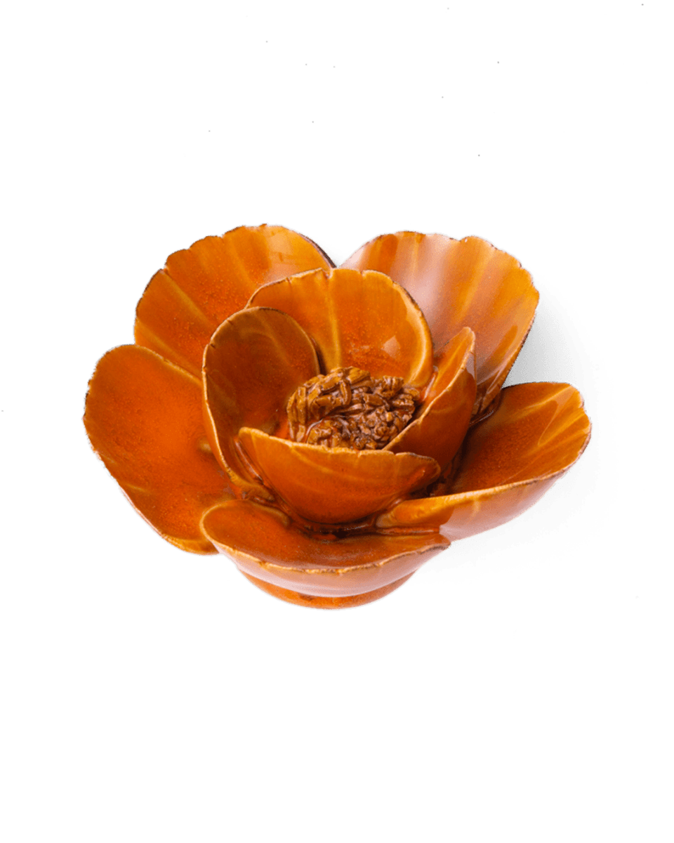 FR08 Burnt Orange Poppy - Chive US Wholesale