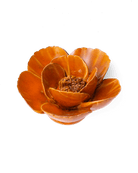 FR08 Burnt Orange Poppy - Chive US Wholesale