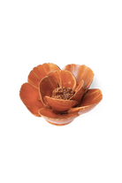 FR08 Burnt Orange Poppy - Chive US Wholesale