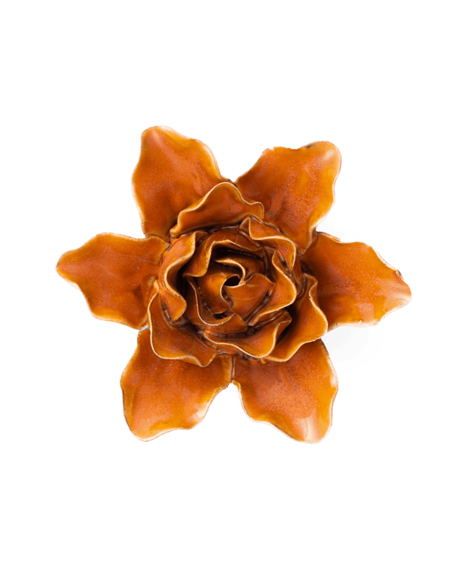 FR13 Burnt Orange Stargazer Lily - Chive US Wholesale