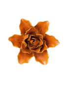 FR13 Burnt Orange Stargazer Lily - Chive US Wholesale