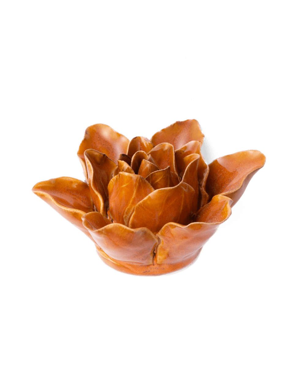 FR13 Burnt Orange Stargazer Lily - Chive US Wholesale